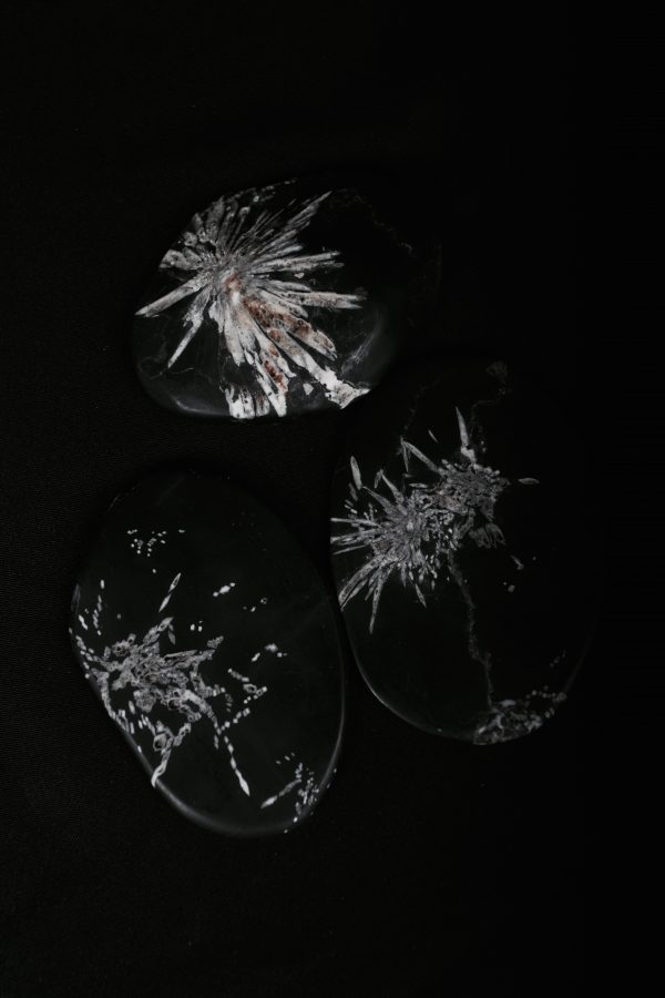 Chrysanthemum | Crystal