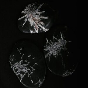 Chrysanthemum | Crystal