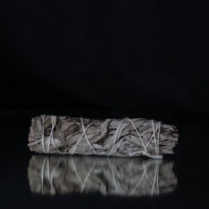 White Sage | Medium Smudge Stick