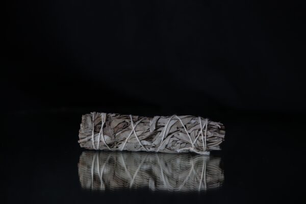 White Sage | Medium Smudge Stick