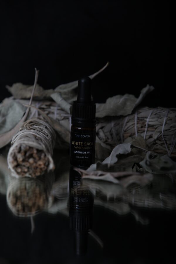 White Sage | Salvia Apiana Essential Oil