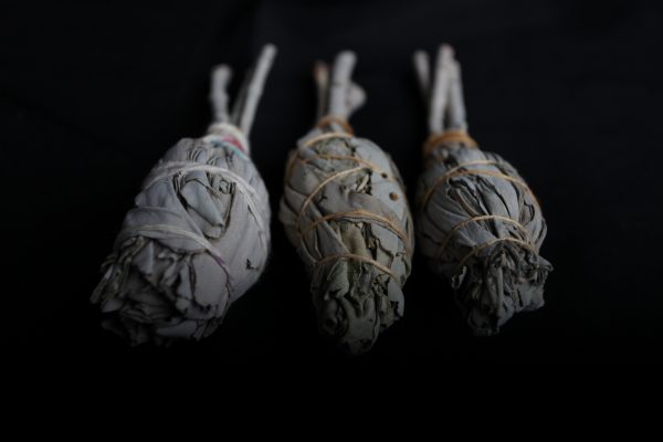 White Sage | Small Smudge Stick - Image 2