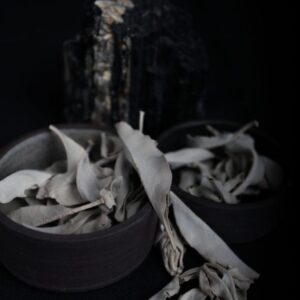 White Sage | Loose Leaf Bag