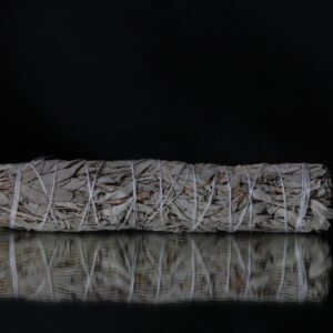 White Sage | Large Smudge Stick