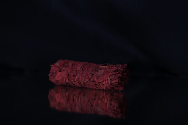 Dragon's Blood White Sage | Medium Smudge Stick