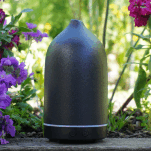 Diffuser, electric
